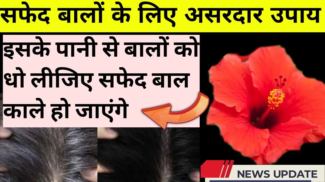 Hibiscus Hair Mask